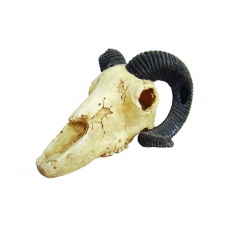 LUCKY REPTILE Декорация для террариума, череп "Skull Ram"