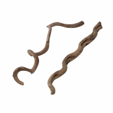 AQUA DELLA Декорация для террариума "Wood Liana"