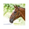 SHIRES BRIDLEWAY Кожаный недоуздок для лошади с именной табличкой, FULL, коричневый