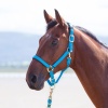 SHIRES Недоуздок "Topaz", голубой