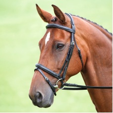 SHIRES SALISBURY Оголовье для лошади "Bodenham", черный